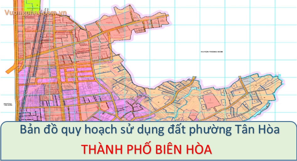Ban do quy hoach ke hoach phuong Tan Hoa Bien