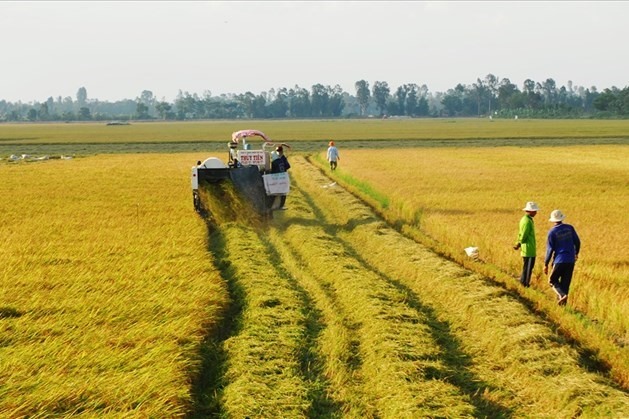 Đất nông nghiệp là gì? Có được xây nhà ở trên đất nông nghiệp? 14 Dat nong nghiep la gi Co duoc xay nha o