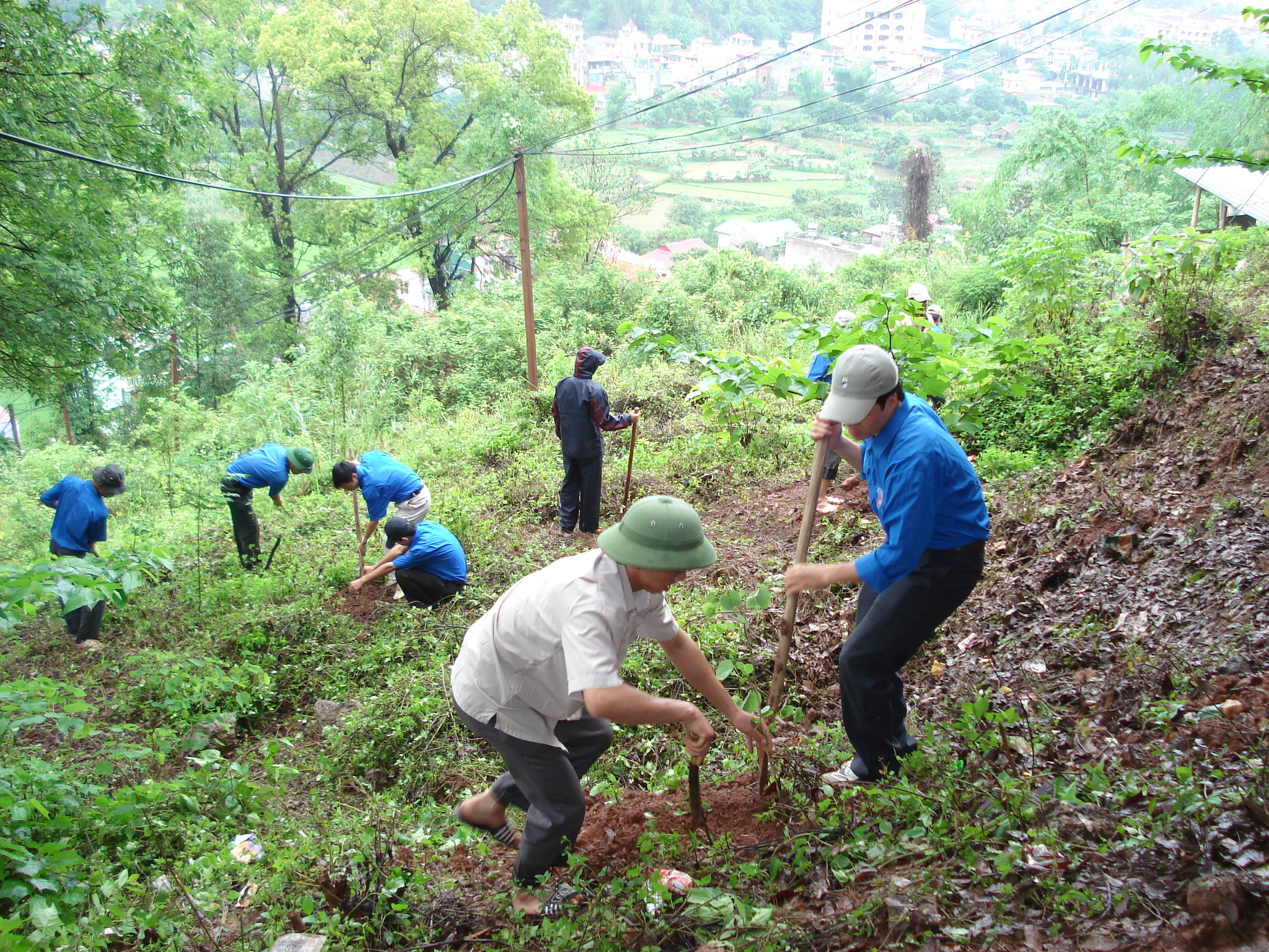 Đất rừng phòng hộ là gì? thủ tục chuyển đổi sang rừng sản xuất? 3 Chuyển rừng phòng hộ sang rừng sản xuất