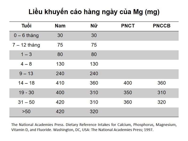 Magie có tác dụng gì đối với cơ thể của con người? 29 20230605 magie co tac dung gi 1