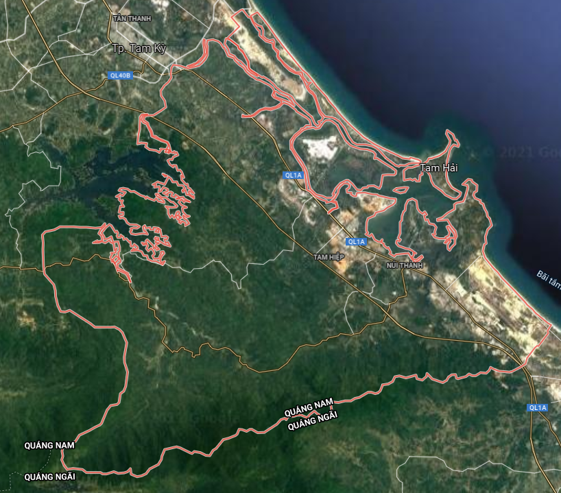 nt1 1634701000449535454173