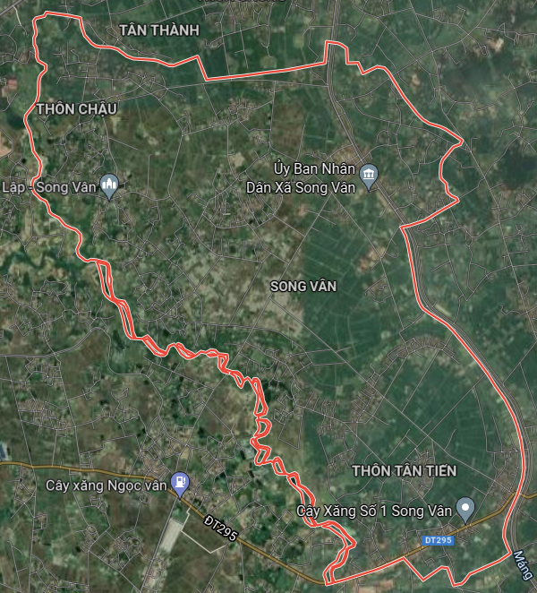 sv 16392321935141804199541