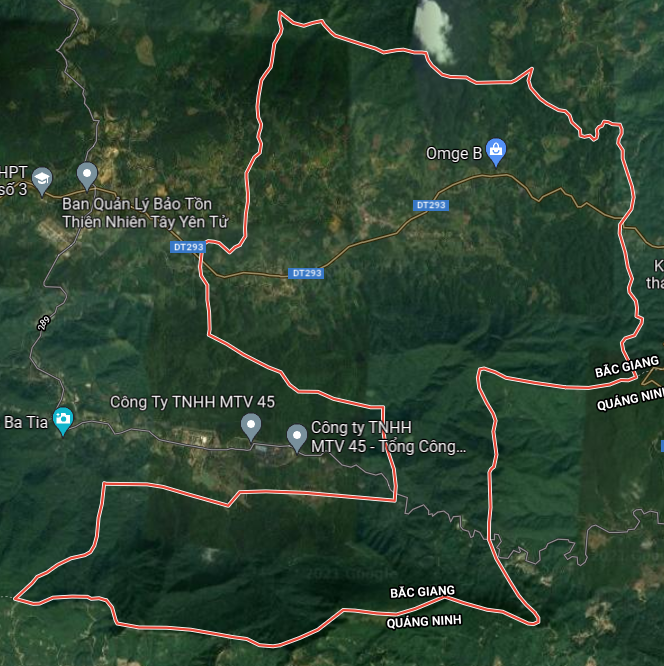 tl 16397064450711471611947
