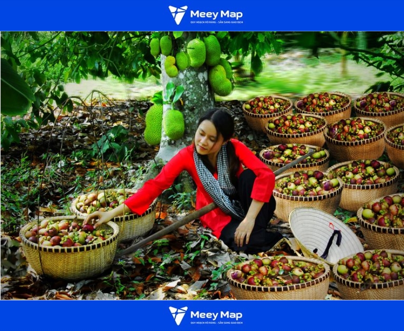 Vường Trái Cây Lái Thiêu