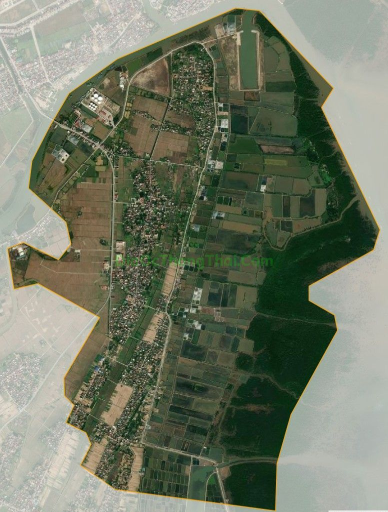 Bản đồ vệ tinh xã Thái Thượng, huyện Thái Thụy