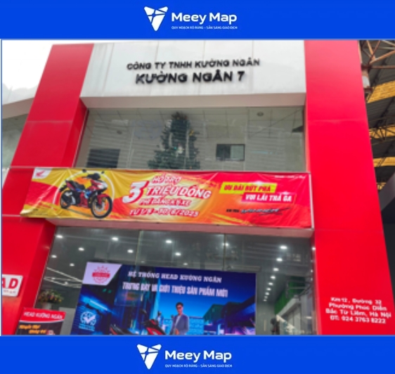 Head Cường Ngân