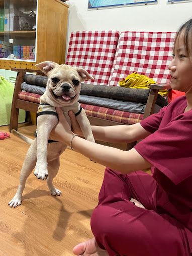 Ảnh