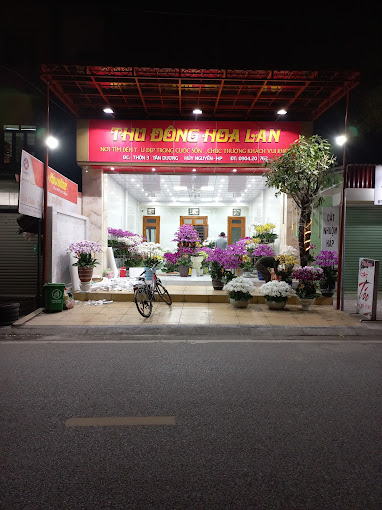 Ảnh