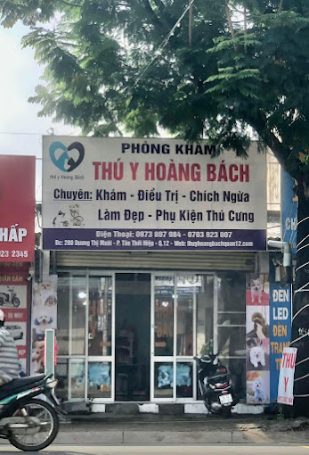 Ảnh