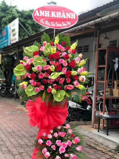 Ảnh