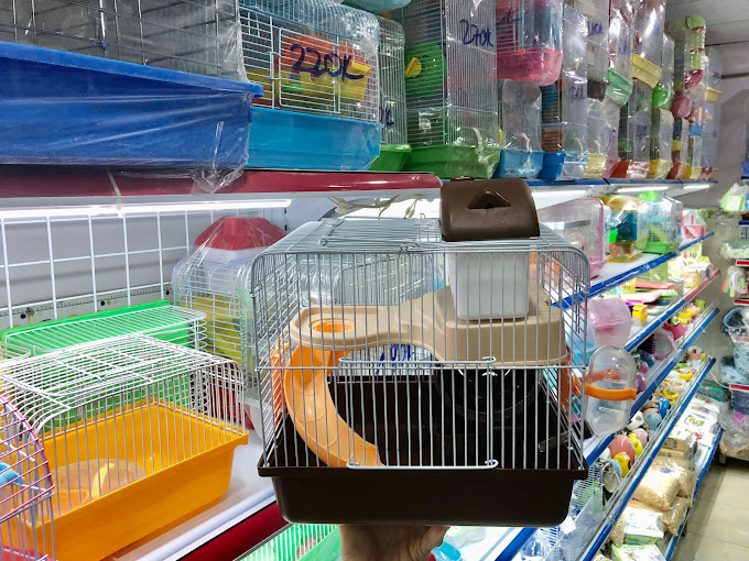 Ảnh