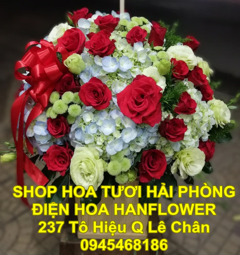 Ảnh