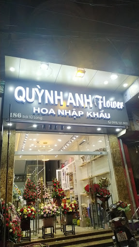 Ảnh