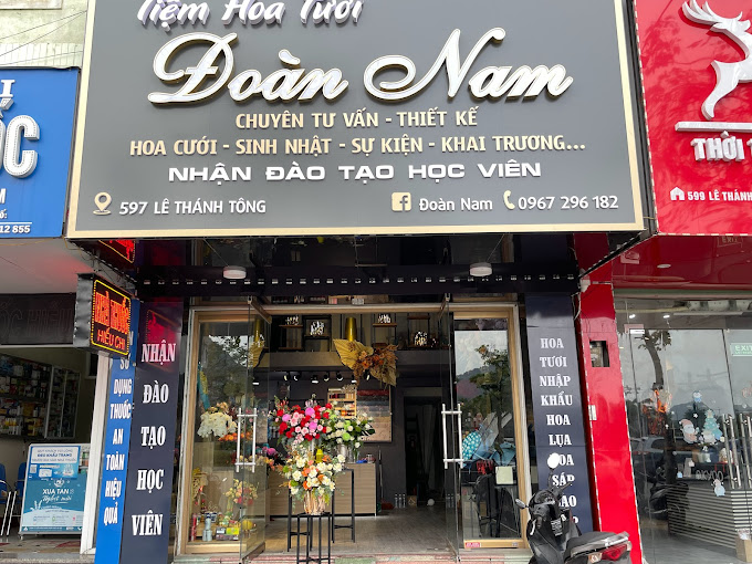 Ảnh
