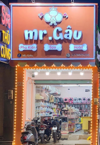 Ảnh