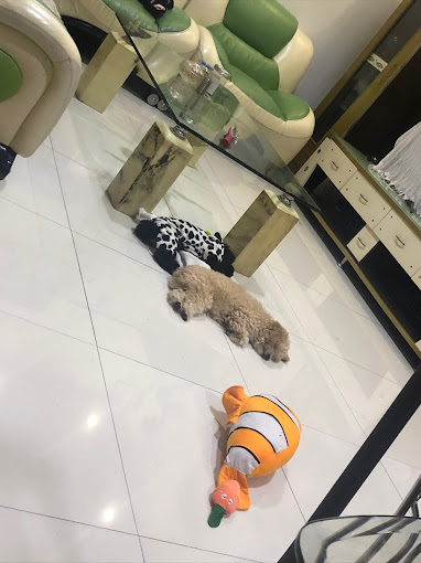 Ảnh