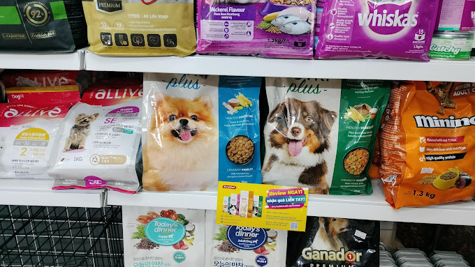 Ảnh
