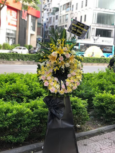 Ảnh