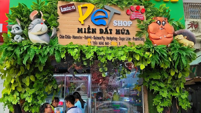 Ảnh