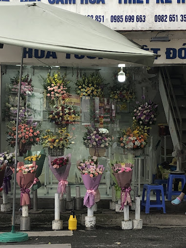 Ảnh