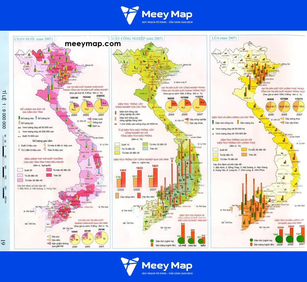 Bản đồ chăn nuôi, cây công nghiệp, Lúa nước Việt Nam