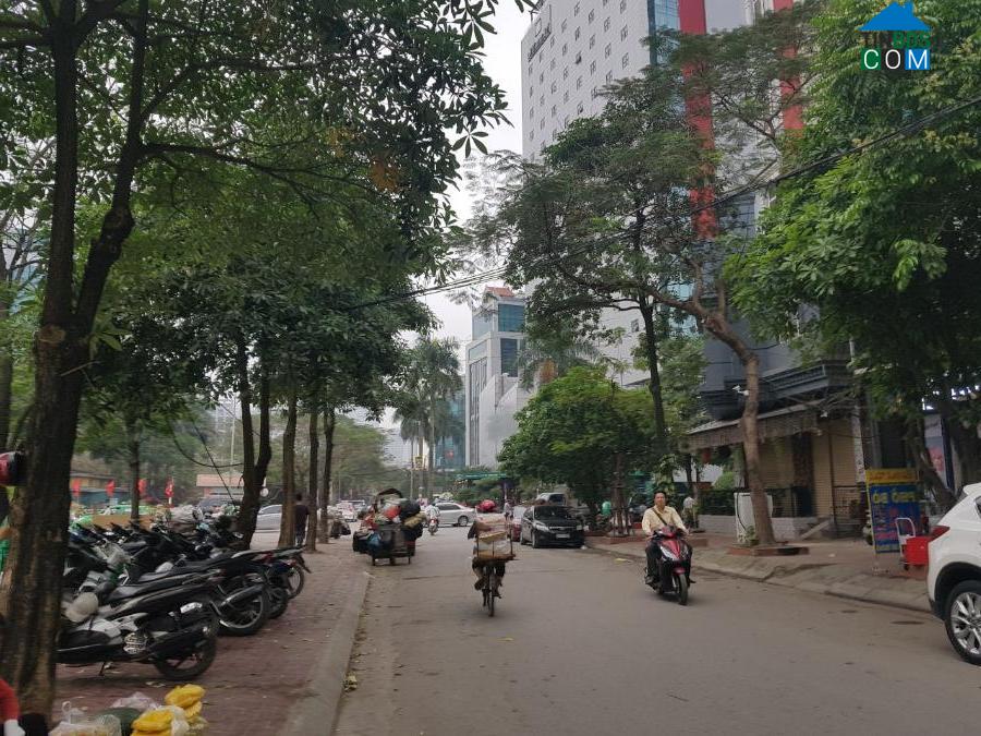 Bản đồ đường Hoàng Quốc Việt, Cầu Giấy, Hà Nội