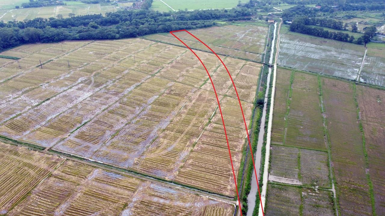 Bản đồ quy hoạch Xã Đông Hội, Đông Anh, Hà Nội| Kế hoạch sử dụng đất