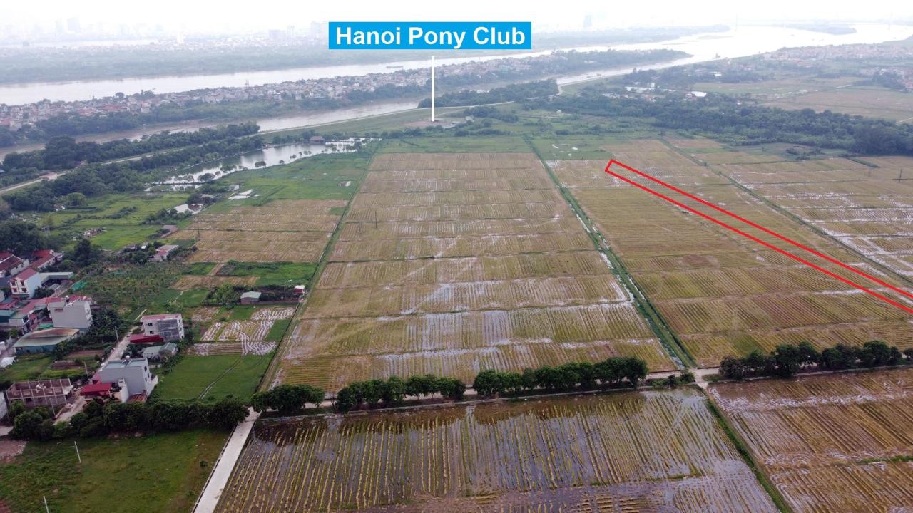 Bản đồ quy hoạch Xã Đông Hội, Đông Anh, Hà Nội| Kế hoạch sử dụng đất