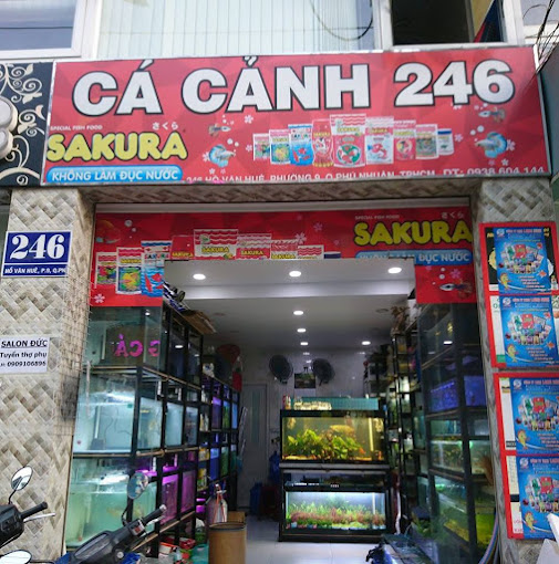Ảnh