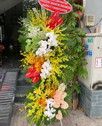 Ảnh