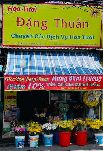 Ảnh