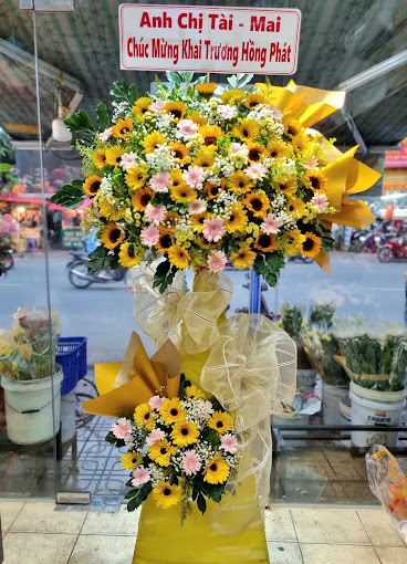 Ảnh
