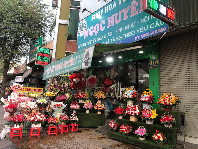 Ảnh