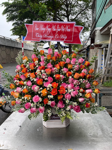 Ảnh