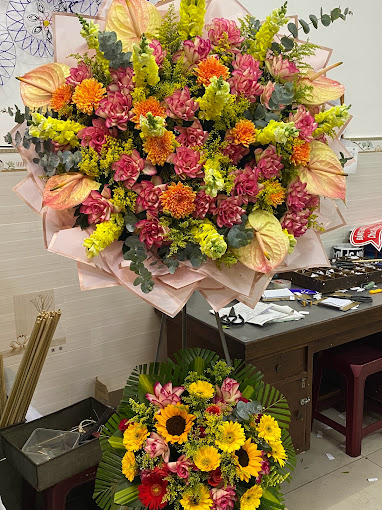 Ảnh