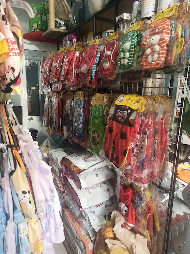 Ảnh