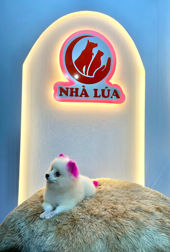 Ảnh