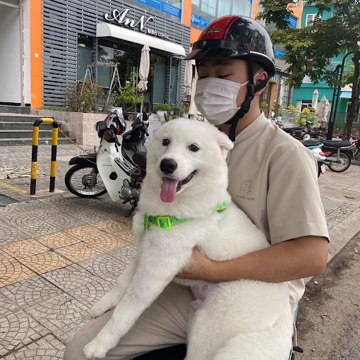 Ảnh