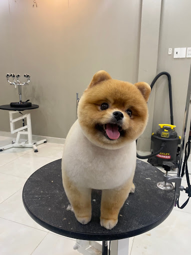 Ảnh