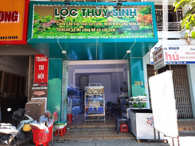 Ảnh