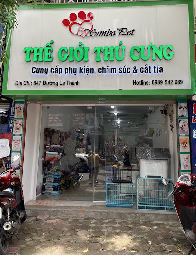 Ảnh