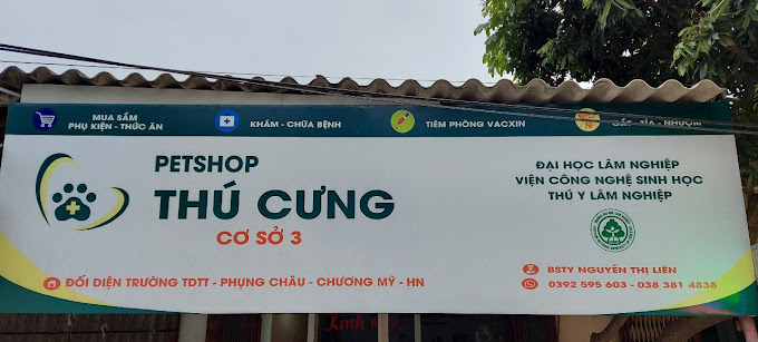 Ảnh