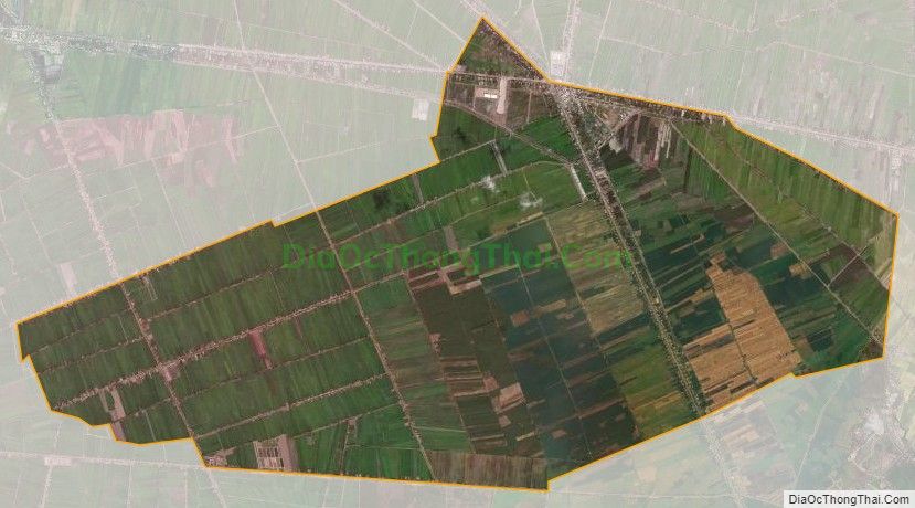 Xã Trường Xuân, huyện Tháp Mười – Quy hoạch – Bản đồ – Tổng quan Xã Trường Xuân, huyện Tháp Mười – Quy hoạch – Bản đồ – Tổng quan