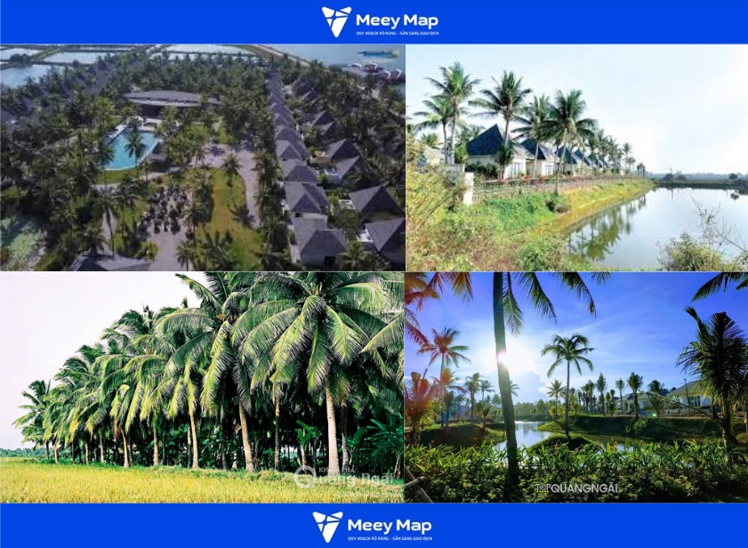 Bãi Dừa Tư Nghĩa