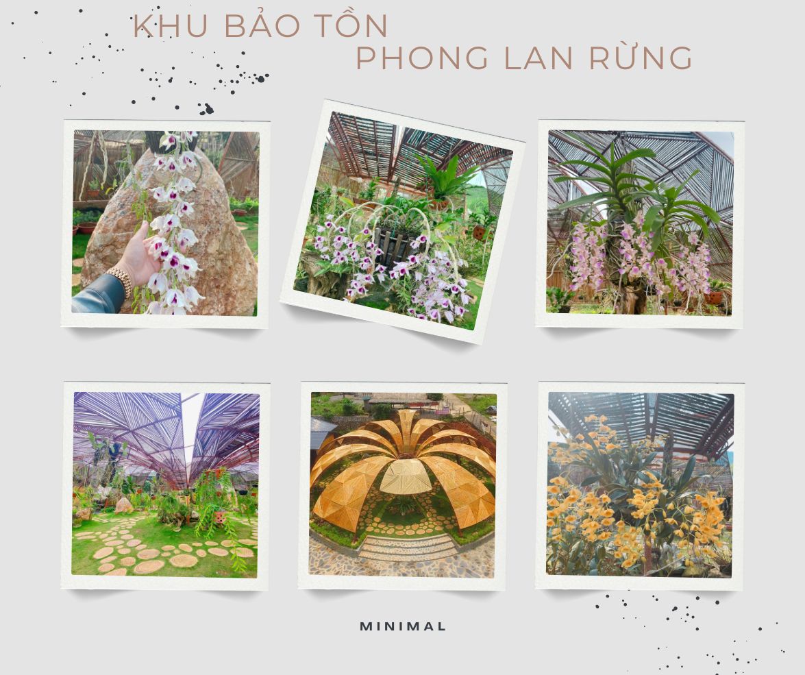 Happy Land Moc Chau 15