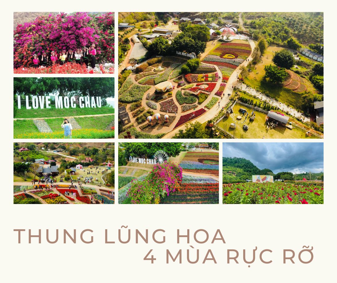 Happy Land Moc Chau 9