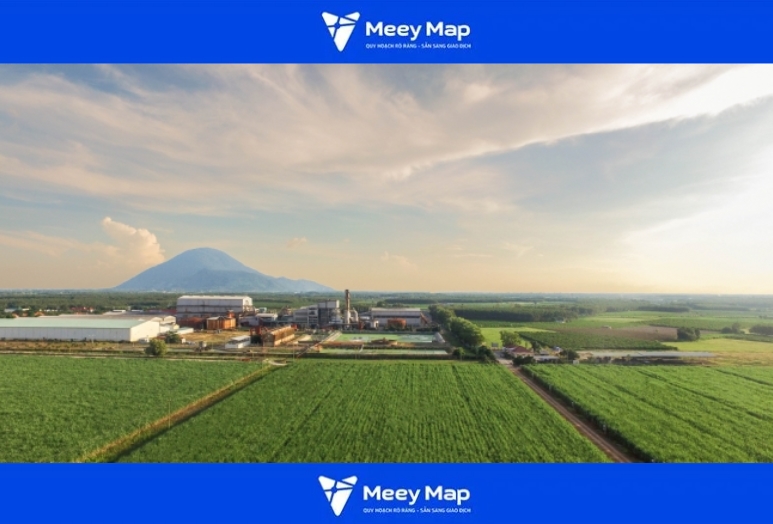 Cánh đồng mía Tây Ninh