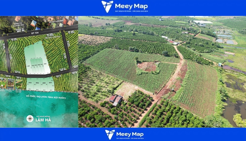 Bản đồ hành chính Tỉnh Lâm Đồng khổ lớn phóng to 19 LakeView Phúc Thọ