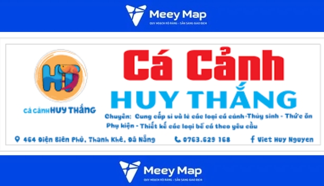 Full Danh Sách Cửa Hàng Cá Cảnh Tại Cần Thơ Giá Rẻ, Chất Lượng 2 Cả cảnh Huy Thắng