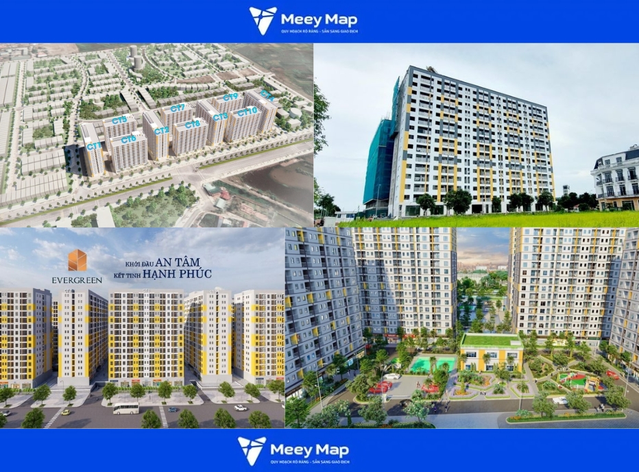 Evergreen Tràng Duệ